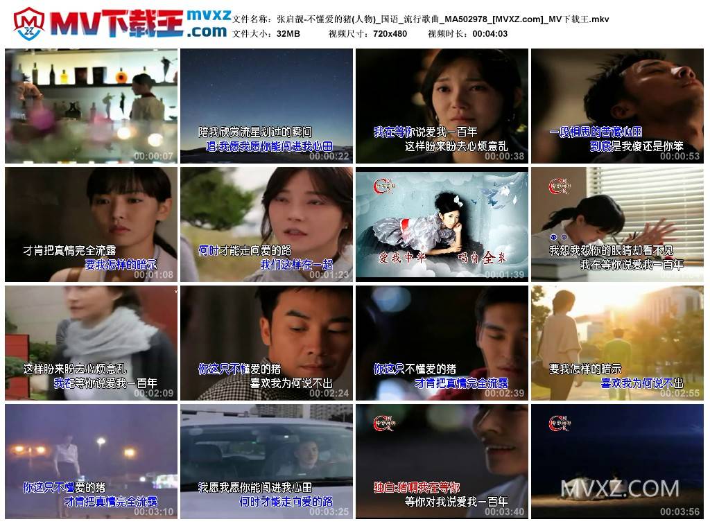 张启靓-不懂爱的猪(人物)_国语_流行歌曲_MA502978
